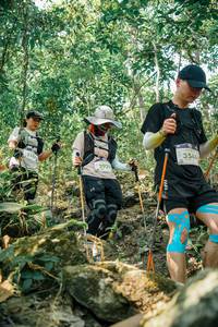 BIB: 
                            <button type="button" onclick="openModal(26125799)" class="btn btn-primary btn-sm float-right btn-popup" data-toggle="modal" data-target=".modal-high-quality">
                        <i class="fas fa-shopping-cart"></i> Add to Cart
                    </button>
                                            <button type="button" onclick="isThisMe(26125799, true)" class="btn btn-success btn-sm float-right btn-popup btn-isme hidden" data-toggle="tooltip" data-placement="bottom" title="นี่คือรูปของคุณใช่ไหม คลิกที่นี่เพื่อเอาเข้าอัลบั้ม">
                        <i class="fas fa-plus"></i> Add to album
                    </button>
                    <button type="button" onclick="isThisMe(26125799, false)" class="btn btn-warning btn-sm float-right btn-popup btn-isnotme hidden">
                        <i class="fas fa-ban"></i> Remove from album
                    </button>