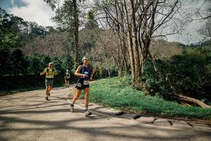 BIB: 
                            <button type="button" onclick="openModal(26073291)" class="btn btn-primary btn-sm float-right btn-popup" data-toggle="modal" data-target=".modal-high-quality">
                        <i class="fas fa-shopping-cart"></i> Add to Cart
                    </button>
                                            <button type="button" onclick="isThisMe(26073291, true)" class="btn btn-success btn-sm float-right btn-popup btn-isme hidden" data-toggle="tooltip" data-placement="bottom" title="นี่คือรูปของคุณใช่ไหม คลิกที่นี่เพื่อเอาเข้าอัลบั้ม">
                        <i class="fas fa-plus"></i> Add to album
                    </button>
                    <button type="button" onclick="isThisMe(26073291, false)" class="btn btn-warning btn-sm float-right btn-popup btn-isnotme hidden">
                        <i class="fas fa-ban"></i> Remove from album
                    </button>