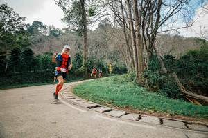 BIB: 
                            <button type="button" onclick="openModal(26064241)" class="btn btn-primary btn-sm float-right btn-popup" data-toggle="modal" data-target=".modal-high-quality">
                        <i class="fas fa-shopping-cart"></i> Add to Cart
                    </button>
                                            <button type="button" onclick="isThisMe(26064241, true)" class="btn btn-success btn-sm float-right btn-popup btn-isme hidden" data-toggle="tooltip" data-placement="bottom" title="นี่คือรูปของคุณใช่ไหม คลิกที่นี่เพื่อเอาเข้าอัลบั้ม">
                        <i class="fas fa-plus"></i> Add to album
                    </button>
                    <button type="button" onclick="isThisMe(26064241, false)" class="btn btn-warning btn-sm float-right btn-popup btn-isnotme hidden">
                        <i class="fas fa-ban"></i> Remove from album
                    </button>