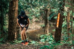 BIB: 
                            <button type="button" onclick="openModal(25371146)" class="btn btn-primary btn-sm float-right btn-popup" data-toggle="modal" data-target=".modal-high-quality">
                        <i class="fas fa-shopping-cart"></i> Add to Cart
                    </button>
                                            <button type="button" onclick="isThisMe(25371146, true)" class="btn btn-success btn-sm float-right btn-popup btn-isme hidden" data-toggle="tooltip" data-placement="bottom" title="นี่คือรูปของคุณใช่ไหม คลิกที่นี่เพื่อเอาเข้าอัลบั้ม">
                        <i class="fas fa-plus"></i> Add to album
                    </button>
                    <button type="button" onclick="isThisMe(25371146, false)" class="btn btn-warning btn-sm float-right btn-popup btn-isnotme hidden">
                        <i class="fas fa-ban"></i> Remove from album
                    </button>