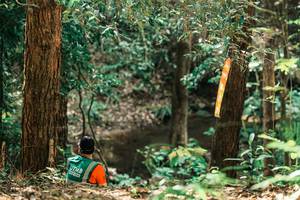 BIB: 
                            <button type="button" onclick="openModal(25370591)" class="btn btn-primary btn-sm float-right btn-popup" data-toggle="modal" data-target=".modal-high-quality">
                        <i class="fas fa-shopping-cart"></i> Add to Cart
                    </button>
                                            <button type="button" onclick="isThisMe(25370591, true)" class="btn btn-success btn-sm float-right btn-popup btn-isme hidden" data-toggle="tooltip" data-placement="bottom" title="นี่คือรูปของคุณใช่ไหม คลิกที่นี่เพื่อเอาเข้าอัลบั้ม">
                        <i class="fas fa-plus"></i> Add to album
                    </button>
                    <button type="button" onclick="isThisMe(25370591, false)" class="btn btn-warning btn-sm float-right btn-popup btn-isnotme hidden">
                        <i class="fas fa-ban"></i> Remove from album
                    </button>