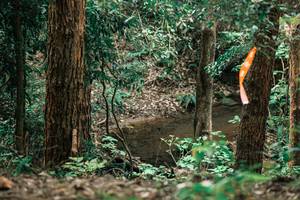 BIB: 
                            <button type="button" onclick="openModal(25370695)" class="btn btn-primary btn-sm float-right btn-popup" data-toggle="modal" data-target=".modal-high-quality">
                        <i class="fas fa-shopping-cart"></i> Add to Cart
                    </button>
                                            <button type="button" onclick="isThisMe(25370695, true)" class="btn btn-success btn-sm float-right btn-popup btn-isme hidden" data-toggle="tooltip" data-placement="bottom" title="นี่คือรูปของคุณใช่ไหม คลิกที่นี่เพื่อเอาเข้าอัลบั้ม">
                        <i class="fas fa-plus"></i> Add to album
                    </button>
                    <button type="button" onclick="isThisMe(25370695, false)" class="btn btn-warning btn-sm float-right btn-popup btn-isnotme hidden">
                        <i class="fas fa-ban"></i> Remove from album
                    </button>