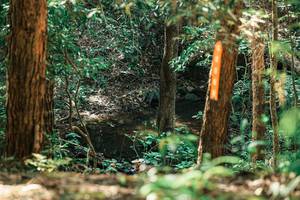 BIB: 
                            <button type="button" onclick="openModal(25370540)" class="btn btn-primary btn-sm float-right btn-popup" data-toggle="modal" data-target=".modal-high-quality">
                        <i class="fas fa-shopping-cart"></i> Add to Cart
                    </button>
                                            <button type="button" onclick="isThisMe(25370540, true)" class="btn btn-success btn-sm float-right btn-popup btn-isme hidden" data-toggle="tooltip" data-placement="bottom" title="นี่คือรูปของคุณใช่ไหม คลิกที่นี่เพื่อเอาเข้าอัลบั้ม">
                        <i class="fas fa-plus"></i> Add to album
                    </button>
                    <button type="button" onclick="isThisMe(25370540, false)" class="btn btn-warning btn-sm float-right btn-popup btn-isnotme hidden">
                        <i class="fas fa-ban"></i> Remove from album
                    </button>