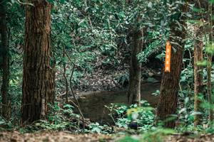 BIB: 
                            <button type="button" onclick="openModal(25370603)" class="btn btn-primary btn-sm float-right btn-popup" data-toggle="modal" data-target=".modal-high-quality">
                        <i class="fas fa-shopping-cart"></i> Add to Cart
                    </button>
                                            <button type="button" onclick="isThisMe(25370603, true)" class="btn btn-success btn-sm float-right btn-popup btn-isme hidden" data-toggle="tooltip" data-placement="bottom" title="นี่คือรูปของคุณใช่ไหม คลิกที่นี่เพื่อเอาเข้าอัลบั้ม">
                        <i class="fas fa-plus"></i> Add to album
                    </button>
                    <button type="button" onclick="isThisMe(25370603, false)" class="btn btn-warning btn-sm float-right btn-popup btn-isnotme hidden">
                        <i class="fas fa-ban"></i> Remove from album
                    </button>