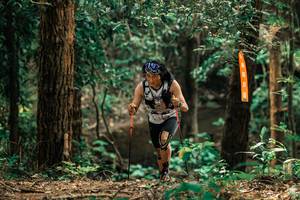 BIB: 
                            <button type="button" onclick="openModal(25371316)" class="btn btn-primary btn-sm float-right btn-popup" data-toggle="modal" data-target=".modal-high-quality">
                        <i class="fas fa-shopping-cart"></i> Add to Cart
                    </button>
                                            <button type="button" onclick="isThisMe(25371316, true)" class="btn btn-success btn-sm float-right btn-popup btn-isme hidden" data-toggle="tooltip" data-placement="bottom" title="นี่คือรูปของคุณใช่ไหม คลิกที่นี่เพื่อเอาเข้าอัลบั้ม">
                        <i class="fas fa-plus"></i> Add to album
                    </button>
                    <button type="button" onclick="isThisMe(25371316, false)" class="btn btn-warning btn-sm float-right btn-popup btn-isnotme hidden">
                        <i class="fas fa-ban"></i> Remove from album
                    </button>