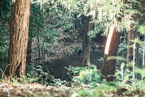 BIB: 
                            <button type="button" onclick="openModal(25370787)" class="btn btn-primary btn-sm float-right btn-popup" data-toggle="modal" data-target=".modal-high-quality">
                        <i class="fas fa-shopping-cart"></i> Add to Cart
                    </button>
                                            <button type="button" onclick="isThisMe(25370787, true)" class="btn btn-success btn-sm float-right btn-popup btn-isme hidden" data-toggle="tooltip" data-placement="bottom" title="นี่คือรูปของคุณใช่ไหม คลิกที่นี่เพื่อเอาเข้าอัลบั้ม">
                        <i class="fas fa-plus"></i> Add to album
                    </button>
                    <button type="button" onclick="isThisMe(25370787, false)" class="btn btn-warning btn-sm float-right btn-popup btn-isnotme hidden">
                        <i class="fas fa-ban"></i> Remove from album
                    </button>