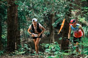 BIB: 
                            <button type="button" onclick="openModal(25370681)" class="btn btn-primary btn-sm float-right btn-popup" data-toggle="modal" data-target=".modal-high-quality">
                        <i class="fas fa-shopping-cart"></i> Add to Cart
                    </button>
                                            <button type="button" onclick="isThisMe(25370681, true)" class="btn btn-success btn-sm float-right btn-popup btn-isme hidden" data-toggle="tooltip" data-placement="bottom" title="นี่คือรูปของคุณใช่ไหม คลิกที่นี่เพื่อเอาเข้าอัลบั้ม">
                        <i class="fas fa-plus"></i> Add to album
                    </button>
                    <button type="button" onclick="isThisMe(25370681, false)" class="btn btn-warning btn-sm float-right btn-popup btn-isnotme hidden">
                        <i class="fas fa-ban"></i> Remove from album
                    </button>