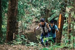 BIB: 
                            <button type="button" onclick="openModal(25370800)" class="btn btn-primary btn-sm float-right btn-popup" data-toggle="modal" data-target=".modal-high-quality">
                        <i class="fas fa-shopping-cart"></i> Add to Cart
                    </button>
                                            <button type="button" onclick="isThisMe(25370800, true)" class="btn btn-success btn-sm float-right btn-popup btn-isme hidden" data-toggle="tooltip" data-placement="bottom" title="นี่คือรูปของคุณใช่ไหม คลิกที่นี่เพื่อเอาเข้าอัลบั้ม">
                        <i class="fas fa-plus"></i> Add to album
                    </button>
                    <button type="button" onclick="isThisMe(25370800, false)" class="btn btn-warning btn-sm float-right btn-popup btn-isnotme hidden">
                        <i class="fas fa-ban"></i> Remove from album
                    </button>