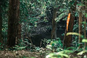 BIB: 
                            <button type="button" onclick="openModal(25370749)" class="btn btn-primary btn-sm float-right btn-popup" data-toggle="modal" data-target=".modal-high-quality">
                        <i class="fas fa-shopping-cart"></i> Add to Cart
                    </button>
                                            <button type="button" onclick="isThisMe(25370749, true)" class="btn btn-success btn-sm float-right btn-popup btn-isme hidden" data-toggle="tooltip" data-placement="bottom" title="นี่คือรูปของคุณใช่ไหม คลิกที่นี่เพื่อเอาเข้าอัลบั้ม">
                        <i class="fas fa-plus"></i> Add to album
                    </button>
                    <button type="button" onclick="isThisMe(25370749, false)" class="btn btn-warning btn-sm float-right btn-popup btn-isnotme hidden">
                        <i class="fas fa-ban"></i> Remove from album
                    </button>