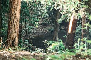 BIB: 
                            <button type="button" onclick="openModal(25370782)" class="btn btn-primary btn-sm float-right btn-popup" data-toggle="modal" data-target=".modal-high-quality">
                        <i class="fas fa-shopping-cart"></i> Add to Cart
                    </button>
                                            <button type="button" onclick="isThisMe(25370782, true)" class="btn btn-success btn-sm float-right btn-popup btn-isme hidden" data-toggle="tooltip" data-placement="bottom" title="นี่คือรูปของคุณใช่ไหม คลิกที่นี่เพื่อเอาเข้าอัลบั้ม">
                        <i class="fas fa-plus"></i> Add to album
                    </button>
                    <button type="button" onclick="isThisMe(25370782, false)" class="btn btn-warning btn-sm float-right btn-popup btn-isnotme hidden">
                        <i class="fas fa-ban"></i> Remove from album
                    </button>