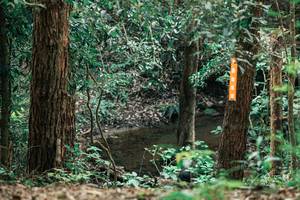 BIB: 
                            <button type="button" onclick="openModal(25370601)" class="btn btn-primary btn-sm float-right btn-popup" data-toggle="modal" data-target=".modal-high-quality">
                        <i class="fas fa-shopping-cart"></i> Add to Cart
                    </button>
                                            <button type="button" onclick="isThisMe(25370601, true)" class="btn btn-success btn-sm float-right btn-popup btn-isme hidden" data-toggle="tooltip" data-placement="bottom" title="นี่คือรูปของคุณใช่ไหม คลิกที่นี่เพื่อเอาเข้าอัลบั้ม">
                        <i class="fas fa-plus"></i> Add to album
                    </button>
                    <button type="button" onclick="isThisMe(25370601, false)" class="btn btn-warning btn-sm float-right btn-popup btn-isnotme hidden">
                        <i class="fas fa-ban"></i> Remove from album
                    </button>