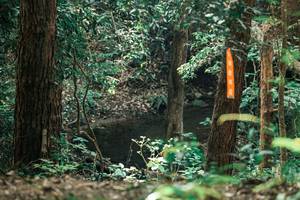 BIB: 
                            <button type="button" onclick="openModal(25370783)" class="btn btn-primary btn-sm float-right btn-popup" data-toggle="modal" data-target=".modal-high-quality">
                        <i class="fas fa-shopping-cart"></i> Add to Cart
                    </button>
                                            <button type="button" onclick="isThisMe(25370783, true)" class="btn btn-success btn-sm float-right btn-popup btn-isme hidden" data-toggle="tooltip" data-placement="bottom" title="นี่คือรูปของคุณใช่ไหม คลิกที่นี่เพื่อเอาเข้าอัลบั้ม">
                        <i class="fas fa-plus"></i> Add to album
                    </button>
                    <button type="button" onclick="isThisMe(25370783, false)" class="btn btn-warning btn-sm float-right btn-popup btn-isnotme hidden">
                        <i class="fas fa-ban"></i> Remove from album
                    </button>