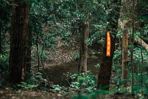 BIB: 
                            <button type="button" onclick="openModal(25370901)" class="btn btn-primary btn-sm float-right btn-popup" data-toggle="modal" data-target=".modal-high-quality">
                        <i class="fas fa-shopping-cart"></i> Add to Cart
                    </button>
                                            <button type="button" onclick="isThisMe(25370901, true)" class="btn btn-success btn-sm float-right btn-popup btn-isme hidden" data-toggle="tooltip" data-placement="bottom" title="นี่คือรูปของคุณใช่ไหม คลิกที่นี่เพื่อเอาเข้าอัลบั้ม">
                        <i class="fas fa-plus"></i> Add to album
                    </button>
                    <button type="button" onclick="isThisMe(25370901, false)" class="btn btn-warning btn-sm float-right btn-popup btn-isnotme hidden">
                        <i class="fas fa-ban"></i> Remove from album
                    </button>