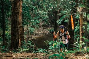 BIB: 
                            <button type="button" onclick="openModal(25371306)" class="btn btn-primary btn-sm float-right btn-popup" data-toggle="modal" data-target=".modal-high-quality">
                        <i class="fas fa-shopping-cart"></i> Add to Cart
                    </button>
                                            <button type="button" onclick="isThisMe(25371306, true)" class="btn btn-success btn-sm float-right btn-popup btn-isme hidden" data-toggle="tooltip" data-placement="bottom" title="นี่คือรูปของคุณใช่ไหม คลิกที่นี่เพื่อเอาเข้าอัลบั้ม">
                        <i class="fas fa-plus"></i> Add to album
                    </button>
                    <button type="button" onclick="isThisMe(25371306, false)" class="btn btn-warning btn-sm float-right btn-popup btn-isnotme hidden">
                        <i class="fas fa-ban"></i> Remove from album
                    </button>