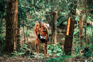 BIB: 
                            <button type="button" onclick="openModal(25371136)" class="btn btn-primary btn-sm float-right btn-popup" data-toggle="modal" data-target=".modal-high-quality">
                        <i class="fas fa-shopping-cart"></i> Add to Cart
                    </button>
                                            <button type="button" onclick="isThisMe(25371136, true)" class="btn btn-success btn-sm float-right btn-popup btn-isme hidden" data-toggle="tooltip" data-placement="bottom" title="นี่คือรูปของคุณใช่ไหม คลิกที่นี่เพื่อเอาเข้าอัลบั้ม">
                        <i class="fas fa-plus"></i> Add to album
                    </button>
                    <button type="button" onclick="isThisMe(25371136, false)" class="btn btn-warning btn-sm float-right btn-popup btn-isnotme hidden">
                        <i class="fas fa-ban"></i> Remove from album
                    </button>