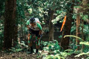 BIB: 
                            <button type="button" onclick="openModal(25370746)" class="btn btn-primary btn-sm float-right btn-popup" data-toggle="modal" data-target=".modal-high-quality">
                        <i class="fas fa-shopping-cart"></i> Add to Cart
                    </button>
                                            <button type="button" onclick="isThisMe(25370746, true)" class="btn btn-success btn-sm float-right btn-popup btn-isme hidden" data-toggle="tooltip" data-placement="bottom" title="นี่คือรูปของคุณใช่ไหม คลิกที่นี่เพื่อเอาเข้าอัลบั้ม">
                        <i class="fas fa-plus"></i> Add to album
                    </button>
                    <button type="button" onclick="isThisMe(25370746, false)" class="btn btn-warning btn-sm float-right btn-popup btn-isnotme hidden">
                        <i class="fas fa-ban"></i> Remove from album
                    </button>