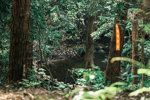 BIB: 
                            <button type="button" onclick="openModal(25370735)" class="btn btn-primary btn-sm float-right btn-popup" data-toggle="modal" data-target=".modal-high-quality">
                        <i class="fas fa-shopping-cart"></i> Add to Cart
                    </button>
                                            <button type="button" onclick="isThisMe(25370735, true)" class="btn btn-success btn-sm float-right btn-popup btn-isme hidden" data-toggle="tooltip" data-placement="bottom" title="นี่คือรูปของคุณใช่ไหม คลิกที่นี่เพื่อเอาเข้าอัลบั้ม">
                        <i class="fas fa-plus"></i> Add to album
                    </button>
                    <button type="button" onclick="isThisMe(25370735, false)" class="btn btn-warning btn-sm float-right btn-popup btn-isnotme hidden">
                        <i class="fas fa-ban"></i> Remove from album
                    </button>