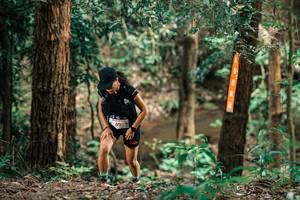 BIB: 
                            <button type="button" onclick="openModal(25371144)" class="btn btn-primary btn-sm float-right btn-popup" data-toggle="modal" data-target=".modal-high-quality">
                        <i class="fas fa-shopping-cart"></i> Add to Cart
                    </button>
                                            <button type="button" onclick="isThisMe(25371144, true)" class="btn btn-success btn-sm float-right btn-popup btn-isme hidden" data-toggle="tooltip" data-placement="bottom" title="นี่คือรูปของคุณใช่ไหม คลิกที่นี่เพื่อเอาเข้าอัลบั้ม">
                        <i class="fas fa-plus"></i> Add to album
                    </button>
                    <button type="button" onclick="isThisMe(25371144, false)" class="btn btn-warning btn-sm float-right btn-popup btn-isnotme hidden">
                        <i class="fas fa-ban"></i> Remove from album
                    </button>