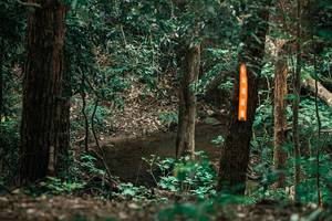 BIB: 
                            <button type="button" onclick="openModal(25370898)" class="btn btn-primary btn-sm float-right btn-popup" data-toggle="modal" data-target=".modal-high-quality">
                        <i class="fas fa-shopping-cart"></i> Add to Cart
                    </button>
                                            <button type="button" onclick="isThisMe(25370898, true)" class="btn btn-success btn-sm float-right btn-popup btn-isme hidden" data-toggle="tooltip" data-placement="bottom" title="นี่คือรูปของคุณใช่ไหม คลิกที่นี่เพื่อเอาเข้าอัลบั้ม">
                        <i class="fas fa-plus"></i> Add to album
                    </button>
                    <button type="button" onclick="isThisMe(25370898, false)" class="btn btn-warning btn-sm float-right btn-popup btn-isnotme hidden">
                        <i class="fas fa-ban"></i> Remove from album
                    </button>