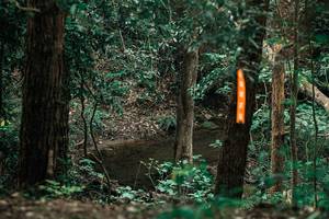 BIB: 
                            <button type="button" onclick="openModal(25370902)" class="btn btn-primary btn-sm float-right btn-popup" data-toggle="modal" data-target=".modal-high-quality">
                        <i class="fas fa-shopping-cart"></i> Add to Cart
                    </button>
                                            <button type="button" onclick="isThisMe(25370902, true)" class="btn btn-success btn-sm float-right btn-popup btn-isme hidden" data-toggle="tooltip" data-placement="bottom" title="นี่คือรูปของคุณใช่ไหม คลิกที่นี่เพื่อเอาเข้าอัลบั้ม">
                        <i class="fas fa-plus"></i> Add to album
                    </button>
                    <button type="button" onclick="isThisMe(25370902, false)" class="btn btn-warning btn-sm float-right btn-popup btn-isnotme hidden">
                        <i class="fas fa-ban"></i> Remove from album
                    </button>