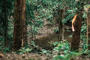 BIB: 
                            <button type="button" onclick="openModal(25370694)" class="btn btn-primary btn-sm float-right btn-popup" data-toggle="modal" data-target=".modal-high-quality">
                        <i class="fas fa-shopping-cart"></i> Add to Cart
                    </button>
                                            <button type="button" onclick="isThisMe(25370694, true)" class="btn btn-success btn-sm float-right btn-popup btn-isme hidden" data-toggle="tooltip" data-placement="bottom" title="นี่คือรูปของคุณใช่ไหม คลิกที่นี่เพื่อเอาเข้าอัลบั้ม">
                        <i class="fas fa-plus"></i> Add to album
                    </button>
                    <button type="button" onclick="isThisMe(25370694, false)" class="btn btn-warning btn-sm float-right btn-popup btn-isnotme hidden">
                        <i class="fas fa-ban"></i> Remove from album
                    </button>