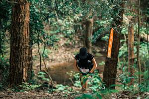 BIB: 
                            <button type="button" onclick="openModal(25371138)" class="btn btn-primary btn-sm float-right btn-popup" data-toggle="modal" data-target=".modal-high-quality">
                        <i class="fas fa-shopping-cart"></i> Add to Cart
                    </button>
                                            <button type="button" onclick="isThisMe(25371138, true)" class="btn btn-success btn-sm float-right btn-popup btn-isme hidden" data-toggle="tooltip" data-placement="bottom" title="นี่คือรูปของคุณใช่ไหม คลิกที่นี่เพื่อเอาเข้าอัลบั้ม">
                        <i class="fas fa-plus"></i> Add to album
                    </button>
                    <button type="button" onclick="isThisMe(25371138, false)" class="btn btn-warning btn-sm float-right btn-popup btn-isnotme hidden">
                        <i class="fas fa-ban"></i> Remove from album
                    </button>