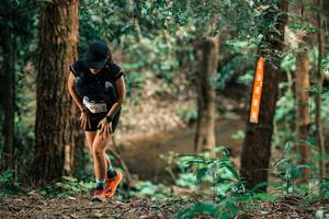 BIB: 
                            <button type="button" onclick="openModal(25371150)" class="btn btn-primary btn-sm float-right btn-popup" data-toggle="modal" data-target=".modal-high-quality">
                        <i class="fas fa-shopping-cart"></i> Add to Cart
                    </button>
                                            <button type="button" onclick="isThisMe(25371150, true)" class="btn btn-success btn-sm float-right btn-popup btn-isme hidden" data-toggle="tooltip" data-placement="bottom" title="นี่คือรูปของคุณใช่ไหม คลิกที่นี่เพื่อเอาเข้าอัลบั้ม">
                        <i class="fas fa-plus"></i> Add to album
                    </button>
                    <button type="button" onclick="isThisMe(25371150, false)" class="btn btn-warning btn-sm float-right btn-popup btn-isnotme hidden">
                        <i class="fas fa-ban"></i> Remove from album
                    </button>