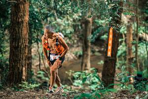 BIB: 
                            <button type="button" onclick="openModal(25371137)" class="btn btn-primary btn-sm float-right btn-popup" data-toggle="modal" data-target=".modal-high-quality">
                        <i class="fas fa-shopping-cart"></i> Add to Cart
                    </button>
                                            <button type="button" onclick="isThisMe(25371137, true)" class="btn btn-success btn-sm float-right btn-popup btn-isme hidden" data-toggle="tooltip" data-placement="bottom" title="นี่คือรูปของคุณใช่ไหม คลิกที่นี่เพื่อเอาเข้าอัลบั้ม">
                        <i class="fas fa-plus"></i> Add to album
                    </button>
                    <button type="button" onclick="isThisMe(25371137, false)" class="btn btn-warning btn-sm float-right btn-popup btn-isnotme hidden">
                        <i class="fas fa-ban"></i> Remove from album
                    </button>