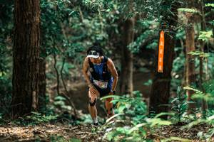 BIB: 
                            <button type="button" onclick="openModal(25370691)" class="btn btn-primary btn-sm float-right btn-popup" data-toggle="modal" data-target=".modal-high-quality">
                        <i class="fas fa-shopping-cart"></i> Add to Cart
                    </button>
                                            <button type="button" onclick="isThisMe(25370691, true)" class="btn btn-success btn-sm float-right btn-popup btn-isme hidden" data-toggle="tooltip" data-placement="bottom" title="นี่คือรูปของคุณใช่ไหม คลิกที่นี่เพื่อเอาเข้าอัลบั้ม">
                        <i class="fas fa-plus"></i> Add to album
                    </button>
                    <button type="button" onclick="isThisMe(25370691, false)" class="btn btn-warning btn-sm float-right btn-popup btn-isnotme hidden">
                        <i class="fas fa-ban"></i> Remove from album
                    </button>