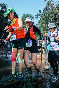 BIB: 
                            <button type="button" onclick="openModal(25643524)" class="btn btn-primary btn-sm float-right btn-popup" data-toggle="modal" data-target=".modal-high-quality">
                        <i class="fas fa-shopping-cart"></i> Add to Cart
                    </button>
                                            <button type="button" onclick="isThisMe(25643524, true)" class="btn btn-success btn-sm float-right btn-popup btn-isme hidden" data-toggle="tooltip" data-placement="bottom" title="นี่คือรูปของคุณใช่ไหม คลิกที่นี่เพื่อเอาเข้าอัลบั้ม">
                        <i class="fas fa-plus"></i> Add to album
                    </button>
                    <button type="button" onclick="isThisMe(25643524, false)" class="btn btn-warning btn-sm float-right btn-popup btn-isnotme hidden">
                        <i class="fas fa-ban"></i> Remove from album
                    </button>