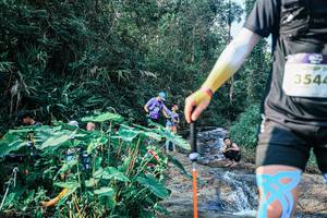 BIB: 
                            <button type="button" onclick="openModal(25655277)" class="btn btn-primary btn-sm float-right btn-popup" data-toggle="modal" data-target=".modal-high-quality">
                        <i class="fas fa-shopping-cart"></i> Add to Cart
                    </button>
                                            <button type="button" onclick="isThisMe(25655277, true)" class="btn btn-success btn-sm float-right btn-popup btn-isme hidden" data-toggle="tooltip" data-placement="bottom" title="นี่คือรูปของคุณใช่ไหม คลิกที่นี่เพื่อเอาเข้าอัลบั้ม">
                        <i class="fas fa-plus"></i> Add to album
                    </button>
                    <button type="button" onclick="isThisMe(25655277, false)" class="btn btn-warning btn-sm float-right btn-popup btn-isnotme hidden">
                        <i class="fas fa-ban"></i> Remove from album
                    </button>