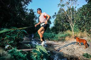 BIB: 
                            <button type="button" onclick="openModal(25481622)" class="btn btn-primary btn-sm float-right btn-popup" data-toggle="modal" data-target=".modal-high-quality">
                        <i class="fas fa-shopping-cart"></i> Add to Cart
                    </button>
                                            <button type="button" onclick="isThisMe(25481622, true)" class="btn btn-success btn-sm float-right btn-popup btn-isme hidden" data-toggle="tooltip" data-placement="bottom" title="นี่คือรูปของคุณใช่ไหม คลิกที่นี่เพื่อเอาเข้าอัลบั้ม">
                        <i class="fas fa-plus"></i> Add to album
                    </button>
                    <button type="button" onclick="isThisMe(25481622, false)" class="btn btn-warning btn-sm float-right btn-popup btn-isnotme hidden">
                        <i class="fas fa-ban"></i> Remove from album
                    </button>