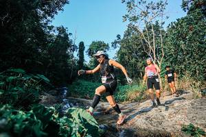 BIB: 
                            <button type="button" onclick="openModal(25494088)" class="btn btn-primary btn-sm float-right btn-popup" data-toggle="modal" data-target=".modal-high-quality">
                        <i class="fas fa-shopping-cart"></i> Add to Cart
                    </button>
                                            <button type="button" onclick="isThisMe(25494088, true)" class="btn btn-success btn-sm float-right btn-popup btn-isme hidden" data-toggle="tooltip" data-placement="bottom" title="นี่คือรูปของคุณใช่ไหม คลิกที่นี่เพื่อเอาเข้าอัลบั้ม">
                        <i class="fas fa-plus"></i> Add to album
                    </button>
                    <button type="button" onclick="isThisMe(25494088, false)" class="btn btn-warning btn-sm float-right btn-popup btn-isnotme hidden">
                        <i class="fas fa-ban"></i> Remove from album
                    </button>