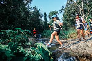 BIB: 
                            <button type="button" onclick="openModal(25528383)" class="btn btn-primary btn-sm float-right btn-popup" data-toggle="modal" data-target=".modal-high-quality">
                        <i class="fas fa-shopping-cart"></i> Add to Cart
                    </button>
                                            <button type="button" onclick="isThisMe(25528383, true)" class="btn btn-success btn-sm float-right btn-popup btn-isme hidden" data-toggle="tooltip" data-placement="bottom" title="นี่คือรูปของคุณใช่ไหม คลิกที่นี่เพื่อเอาเข้าอัลบั้ม">
                        <i class="fas fa-plus"></i> Add to album
                    </button>
                    <button type="button" onclick="isThisMe(25528383, false)" class="btn btn-warning btn-sm float-right btn-popup btn-isnotme hidden">
                        <i class="fas fa-ban"></i> Remove from album
                    </button>