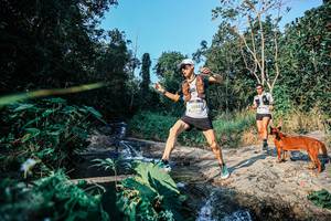 BIB: 
                            <button type="button" onclick="openModal(25481472)" class="btn btn-primary btn-sm float-right btn-popup" data-toggle="modal" data-target=".modal-high-quality">
                        <i class="fas fa-shopping-cart"></i> Add to Cart
                    </button>
                                            <button type="button" onclick="isThisMe(25481472, true)" class="btn btn-success btn-sm float-right btn-popup btn-isme hidden" data-toggle="tooltip" data-placement="bottom" title="นี่คือรูปของคุณใช่ไหม คลิกที่นี่เพื่อเอาเข้าอัลบั้ม">
                        <i class="fas fa-plus"></i> Add to album
                    </button>
                    <button type="button" onclick="isThisMe(25481472, false)" class="btn btn-warning btn-sm float-right btn-popup btn-isnotme hidden">
                        <i class="fas fa-ban"></i> Remove from album
                    </button>