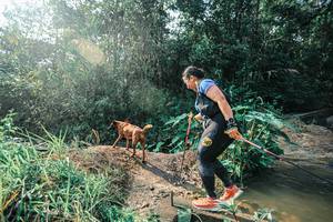 BIB: 
                            <button type="button" onclick="openModal(25656996)" class="btn btn-primary btn-sm float-right btn-popup" data-toggle="modal" data-target=".modal-high-quality">
                        <i class="fas fa-shopping-cart"></i> Add to Cart
                    </button>
                                            <button type="button" onclick="isThisMe(25656996, true)" class="btn btn-success btn-sm float-right btn-popup btn-isme hidden" data-toggle="tooltip" data-placement="bottom" title="นี่คือรูปของคุณใช่ไหม คลิกที่นี่เพื่อเอาเข้าอัลบั้ม">
                        <i class="fas fa-plus"></i> Add to album
                    </button>
                    <button type="button" onclick="isThisMe(25656996, false)" class="btn btn-warning btn-sm float-right btn-popup btn-isnotme hidden">
                        <i class="fas fa-ban"></i> Remove from album
                    </button>