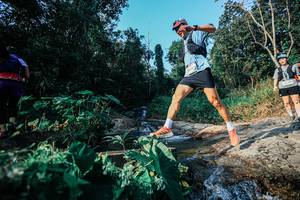 BIB: 
                            <button type="button" onclick="openModal(25535668)" class="btn btn-primary btn-sm float-right btn-popup" data-toggle="modal" data-target=".modal-high-quality">
                        <i class="fas fa-shopping-cart"></i> Add to Cart
                    </button>
                                            <button type="button" onclick="isThisMe(25535668, true)" class="btn btn-success btn-sm float-right btn-popup btn-isme hidden" data-toggle="tooltip" data-placement="bottom" title="นี่คือรูปของคุณใช่ไหม คลิกที่นี่เพื่อเอาเข้าอัลบั้ม">
                        <i class="fas fa-plus"></i> Add to album
                    </button>
                    <button type="button" onclick="isThisMe(25535668, false)" class="btn btn-warning btn-sm float-right btn-popup btn-isnotme hidden">
                        <i class="fas fa-ban"></i> Remove from album
                    </button>