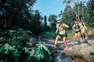 BIB: 
                            <button type="button" onclick="openModal(25530086)" class="btn btn-primary btn-sm float-right btn-popup" data-toggle="modal" data-target=".modal-high-quality">
                        <i class="fas fa-shopping-cart"></i> Add to Cart
                    </button>
                                            <button type="button" onclick="isThisMe(25530086, true)" class="btn btn-success btn-sm float-right btn-popup btn-isme hidden" data-toggle="tooltip" data-placement="bottom" title="นี่คือรูปของคุณใช่ไหม คลิกที่นี่เพื่อเอาเข้าอัลบั้ม">
                        <i class="fas fa-plus"></i> Add to album
                    </button>
                    <button type="button" onclick="isThisMe(25530086, false)" class="btn btn-warning btn-sm float-right btn-popup btn-isnotme hidden">
                        <i class="fas fa-ban"></i> Remove from album
                    </button>