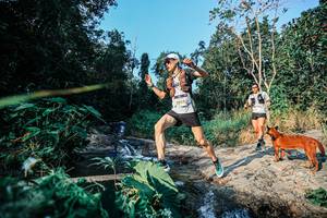 BIB: 
                            <button type="button" onclick="openModal(25481465)" class="btn btn-primary btn-sm float-right btn-popup" data-toggle="modal" data-target=".modal-high-quality">
                        <i class="fas fa-shopping-cart"></i> Add to Cart
                    </button>
                                            <button type="button" onclick="isThisMe(25481465, true)" class="btn btn-success btn-sm float-right btn-popup btn-isme hidden" data-toggle="tooltip" data-placement="bottom" title="นี่คือรูปของคุณใช่ไหม คลิกที่นี่เพื่อเอาเข้าอัลบั้ม">
                        <i class="fas fa-plus"></i> Add to album
                    </button>
                    <button type="button" onclick="isThisMe(25481465, false)" class="btn btn-warning btn-sm float-right btn-popup btn-isnotme hidden">
                        <i class="fas fa-ban"></i> Remove from album
                    </button>