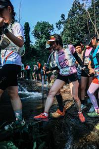 BIB: 
                            <button type="button" onclick="openModal(25643794)" class="btn btn-primary btn-sm float-right btn-popup" data-toggle="modal" data-target=".modal-high-quality">
                        <i class="fas fa-shopping-cart"></i> Add to Cart
                    </button>
                                            <button type="button" onclick="isThisMe(25643794, true)" class="btn btn-success btn-sm float-right btn-popup btn-isme hidden" data-toggle="tooltip" data-placement="bottom" title="นี่คือรูปของคุณใช่ไหม คลิกที่นี่เพื่อเอาเข้าอัลบั้ม">
                        <i class="fas fa-plus"></i> Add to album
                    </button>
                    <button type="button" onclick="isThisMe(25643794, false)" class="btn btn-warning btn-sm float-right btn-popup btn-isnotme hidden">
                        <i class="fas fa-ban"></i> Remove from album
                    </button>