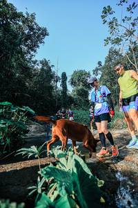 BIB: 
                            <button type="button" onclick="openModal(25623182)" class="btn btn-primary btn-sm float-right btn-popup" data-toggle="modal" data-target=".modal-high-quality">
                        <i class="fas fa-shopping-cart"></i> Add to Cart
                    </button>
                                            <button type="button" onclick="isThisMe(25623182, true)" class="btn btn-success btn-sm float-right btn-popup btn-isme hidden" data-toggle="tooltip" data-placement="bottom" title="นี่คือรูปของคุณใช่ไหม คลิกที่นี่เพื่อเอาเข้าอัลบั้ม">
                        <i class="fas fa-plus"></i> Add to album
                    </button>
                    <button type="button" onclick="isThisMe(25623182, false)" class="btn btn-warning btn-sm float-right btn-popup btn-isnotme hidden">
                        <i class="fas fa-ban"></i> Remove from album
                    </button>