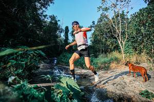 BIB: 
                            <button type="button" onclick="openModal(25481617)" class="btn btn-primary btn-sm float-right btn-popup" data-toggle="modal" data-target=".modal-high-quality">
                        <i class="fas fa-shopping-cart"></i> Add to Cart
                    </button>
                                            <button type="button" onclick="isThisMe(25481617, true)" class="btn btn-success btn-sm float-right btn-popup btn-isme hidden" data-toggle="tooltip" data-placement="bottom" title="นี่คือรูปของคุณใช่ไหม คลิกที่นี่เพื่อเอาเข้าอัลบั้ม">
                        <i class="fas fa-plus"></i> Add to album
                    </button>
                    <button type="button" onclick="isThisMe(25481617, false)" class="btn btn-warning btn-sm float-right btn-popup btn-isnotme hidden">
                        <i class="fas fa-ban"></i> Remove from album
                    </button>