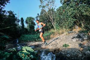 BIB: 
                            <button type="button" onclick="openModal(25480472)" class="btn btn-primary btn-sm float-right btn-popup" data-toggle="modal" data-target=".modal-high-quality">
                        <i class="fas fa-shopping-cart"></i> Add to Cart
                    </button>
                                            <button type="button" onclick="isThisMe(25480472, true)" class="btn btn-success btn-sm float-right btn-popup btn-isme hidden" data-toggle="tooltip" data-placement="bottom" title="นี่คือรูปของคุณใช่ไหม คลิกที่นี่เพื่อเอาเข้าอัลบั้ม">
                        <i class="fas fa-plus"></i> Add to album
                    </button>
                    <button type="button" onclick="isThisMe(25480472, false)" class="btn btn-warning btn-sm float-right btn-popup btn-isnotme hidden">
                        <i class="fas fa-ban"></i> Remove from album
                    </button>