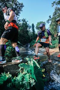 BIB: 
                            <button type="button" onclick="openModal(25632231)" class="btn btn-primary btn-sm float-right btn-popup" data-toggle="modal" data-target=".modal-high-quality">
                        <i class="fas fa-shopping-cart"></i> Add to Cart
                    </button>
                                            <button type="button" onclick="isThisMe(25632231, true)" class="btn btn-success btn-sm float-right btn-popup btn-isme hidden" data-toggle="tooltip" data-placement="bottom" title="นี่คือรูปของคุณใช่ไหม คลิกที่นี่เพื่อเอาเข้าอัลบั้ม">
                        <i class="fas fa-plus"></i> Add to album
                    </button>
                    <button type="button" onclick="isThisMe(25632231, false)" class="btn btn-warning btn-sm float-right btn-popup btn-isnotme hidden">
                        <i class="fas fa-ban"></i> Remove from album
                    </button>