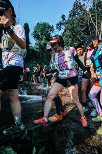 BIB: 
                            <button type="button" onclick="openModal(25643783)" class="btn btn-primary btn-sm float-right btn-popup" data-toggle="modal" data-target=".modal-high-quality">
                        <i class="fas fa-shopping-cart"></i> Add to Cart
                    </button>
                                            <button type="button" onclick="isThisMe(25643783, true)" class="btn btn-success btn-sm float-right btn-popup btn-isme hidden" data-toggle="tooltip" data-placement="bottom" title="นี่คือรูปของคุณใช่ไหม คลิกที่นี่เพื่อเอาเข้าอัลบั้ม">
                        <i class="fas fa-plus"></i> Add to album
                    </button>
                    <button type="button" onclick="isThisMe(25643783, false)" class="btn btn-warning btn-sm float-right btn-popup btn-isnotme hidden">
                        <i class="fas fa-ban"></i> Remove from album
                    </button>