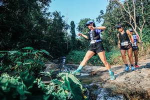 BIB: 
                            <button type="button" onclick="openModal(25531103)" class="btn btn-primary btn-sm float-right btn-popup" data-toggle="modal" data-target=".modal-high-quality">
                        <i class="fas fa-shopping-cart"></i> Add to Cart
                    </button>
                                            <button type="button" onclick="isThisMe(25531103, true)" class="btn btn-success btn-sm float-right btn-popup btn-isme hidden" data-toggle="tooltip" data-placement="bottom" title="นี่คือรูปของคุณใช่ไหม คลิกที่นี่เพื่อเอาเข้าอัลบั้ม">
                        <i class="fas fa-plus"></i> Add to album
                    </button>
                    <button type="button" onclick="isThisMe(25531103, false)" class="btn btn-warning btn-sm float-right btn-popup btn-isnotme hidden">
                        <i class="fas fa-ban"></i> Remove from album
                    </button>