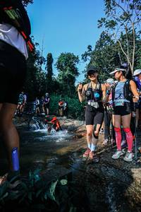 BIB: 
                            <button type="button" onclick="openModal(25645309)" class="btn btn-primary btn-sm float-right btn-popup" data-toggle="modal" data-target=".modal-high-quality">
                        <i class="fas fa-shopping-cart"></i> Add to Cart
                    </button>
                                            <button type="button" onclick="isThisMe(25645309, true)" class="btn btn-success btn-sm float-right btn-popup btn-isme hidden" data-toggle="tooltip" data-placement="bottom" title="นี่คือรูปของคุณใช่ไหม คลิกที่นี่เพื่อเอาเข้าอัลบั้ม">
                        <i class="fas fa-plus"></i> Add to album
                    </button>
                    <button type="button" onclick="isThisMe(25645309, false)" class="btn btn-warning btn-sm float-right btn-popup btn-isnotme hidden">
                        <i class="fas fa-ban"></i> Remove from album
                    </button>