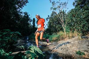 BIB: 
                            <button type="button" onclick="openModal(25488196)" class="btn btn-primary btn-sm float-right btn-popup" data-toggle="modal" data-target=".modal-high-quality">
                        <i class="fas fa-shopping-cart"></i> Add to Cart
                    </button>
                                            <button type="button" onclick="isThisMe(25488196, true)" class="btn btn-success btn-sm float-right btn-popup btn-isme hidden" data-toggle="tooltip" data-placement="bottom" title="นี่คือรูปของคุณใช่ไหม คลิกที่นี่เพื่อเอาเข้าอัลบั้ม">
                        <i class="fas fa-plus"></i> Add to album
                    </button>
                    <button type="button" onclick="isThisMe(25488196, false)" class="btn btn-warning btn-sm float-right btn-popup btn-isnotme hidden">
                        <i class="fas fa-ban"></i> Remove from album
                    </button>