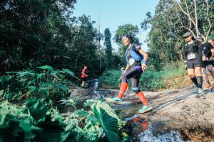 BIB: 
                            <button type="button" onclick="openModal(25528483)" class="btn btn-primary btn-sm float-right btn-popup" data-toggle="modal" data-target=".modal-high-quality">
                        <i class="fas fa-shopping-cart"></i> Add to Cart
                    </button>
                                            <button type="button" onclick="isThisMe(25528483, true)" class="btn btn-success btn-sm float-right btn-popup btn-isme hidden" data-toggle="tooltip" data-placement="bottom" title="นี่คือรูปของคุณใช่ไหม คลิกที่นี่เพื่อเอาเข้าอัลบั้ม">
                        <i class="fas fa-plus"></i> Add to album
                    </button>
                    <button type="button" onclick="isThisMe(25528483, false)" class="btn btn-warning btn-sm float-right btn-popup btn-isnotme hidden">
                        <i class="fas fa-ban"></i> Remove from album
                    </button>