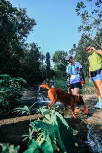 BIB: 
                            <button type="button" onclick="openModal(25623334)" class="btn btn-primary btn-sm float-right btn-popup" data-toggle="modal" data-target=".modal-high-quality">
                        <i class="fas fa-shopping-cart"></i> Add to Cart
                    </button>
                                            <button type="button" onclick="isThisMe(25623334, true)" class="btn btn-success btn-sm float-right btn-popup btn-isme hidden" data-toggle="tooltip" data-placement="bottom" title="นี่คือรูปของคุณใช่ไหม คลิกที่นี่เพื่อเอาเข้าอัลบั้ม">
                        <i class="fas fa-plus"></i> Add to album
                    </button>
                    <button type="button" onclick="isThisMe(25623334, false)" class="btn btn-warning btn-sm float-right btn-popup btn-isnotme hidden">
                        <i class="fas fa-ban"></i> Remove from album
                    </button>